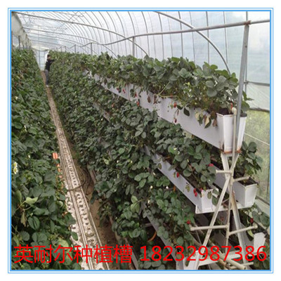 温室草莓种植槽|英耐尔温室草莓立体种植槽 草莓无土栽培槽 草莓基质栽培槽