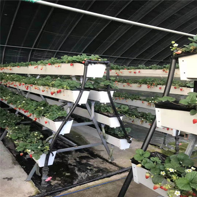 科环种植设备 草莓立体种植槽价格 草莓栽培槽批发价 立体栽培槽 PVC种植槽 厂家直销