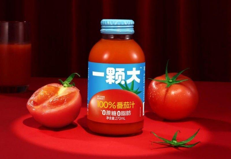 开启“出海”新征程 草莓种植技术赢得多个海外市场青睐