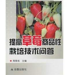 提高草莓商品性栽培技术问答