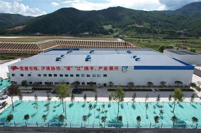 横跨3000公里，把云南兰坪蓝莓送上上海餐桌——从种植到餐桌的全链路解析